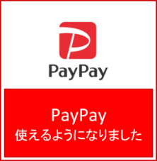 PayPay